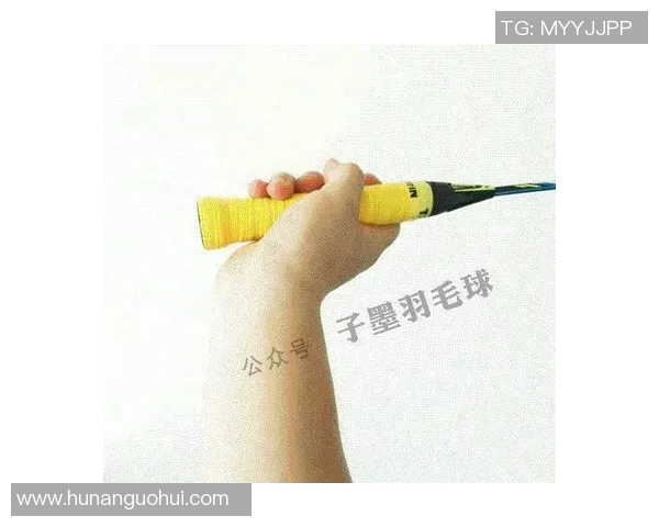 深入分析北京羽毛球队区域防守战术及其在比赛中的应用效果